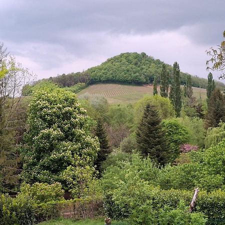 Studio Dans Belle Maison Ancienne Et Jardin Ferme L'Etoile  Kültér fotó
