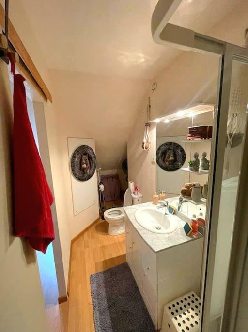 Studio Dans Belle Maison Ancienne Et Jardin Ferme L'Etoile  Kültér fotó